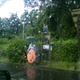 Image for article titled The Totally Real Totoro Bus Stops of Japan